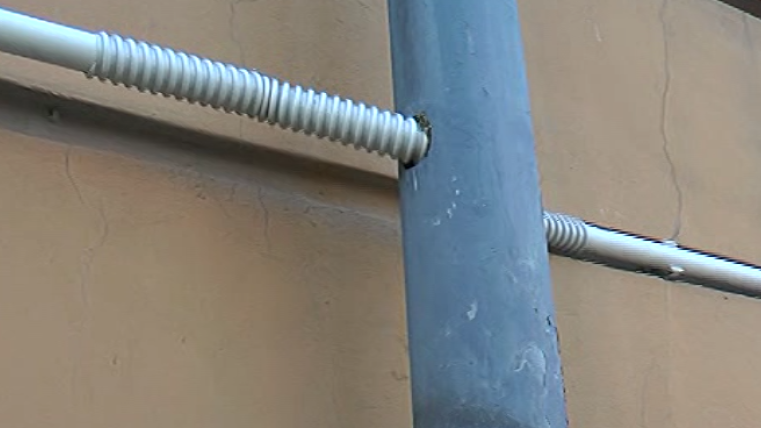 fdfdf